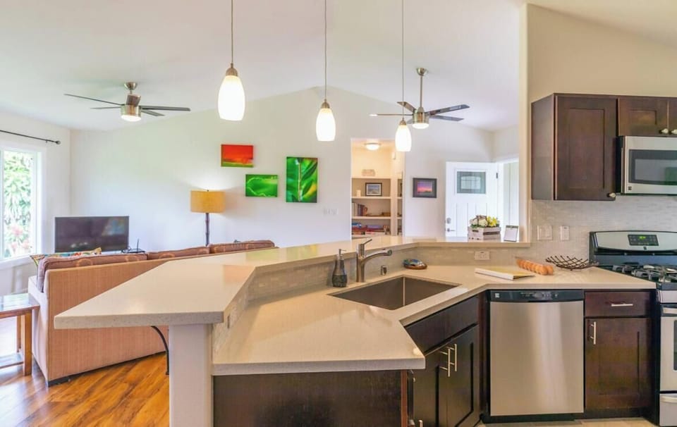 Quartz Kitchen Countertops. Dishwasher