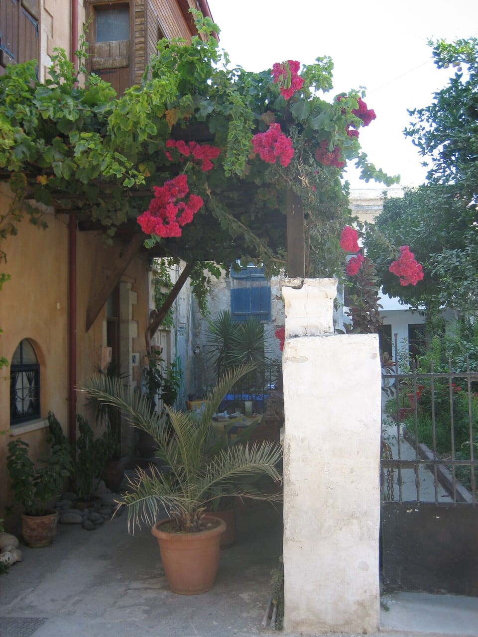 courtyard with vine arbor and bouganville 2