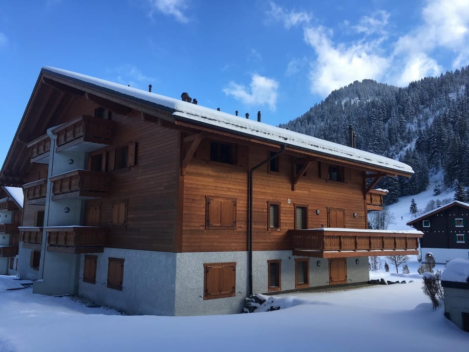 Edelweiss B31, Morgins (588)