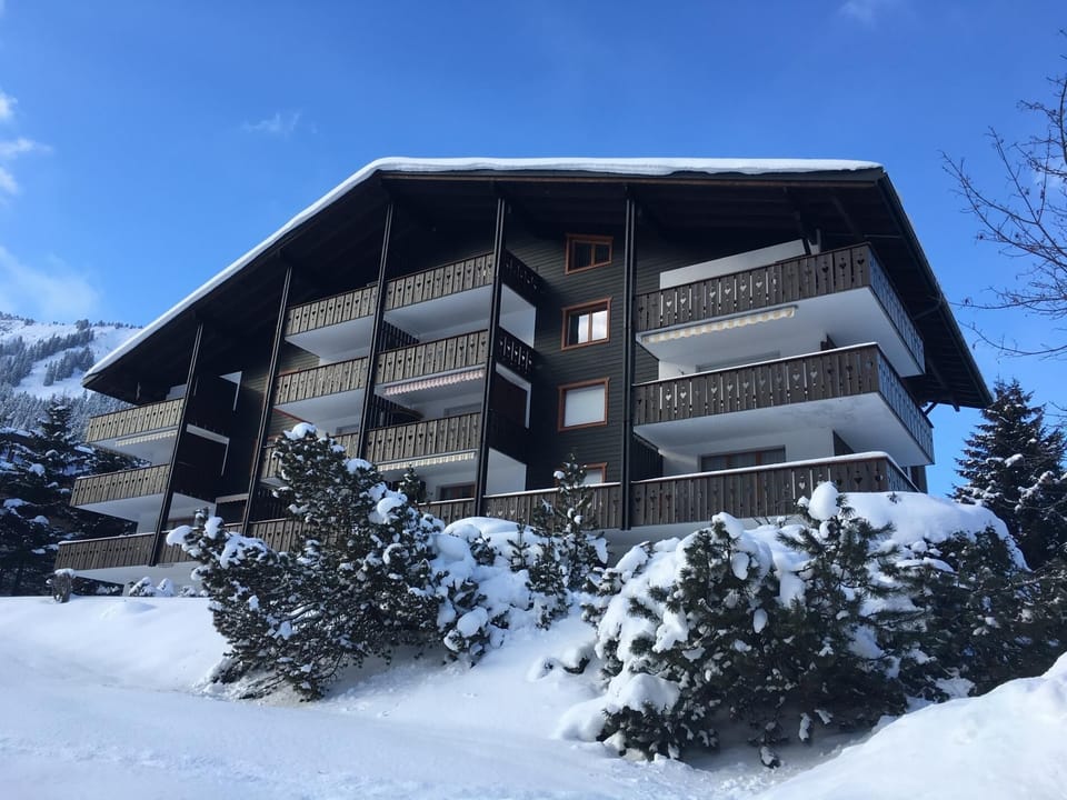 Pre Vert C44, Morgins (593)