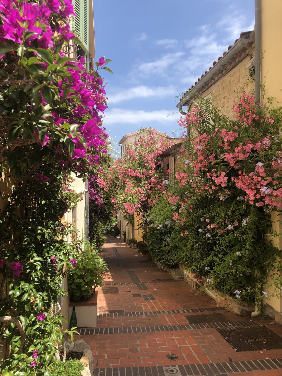 Lined with flowers