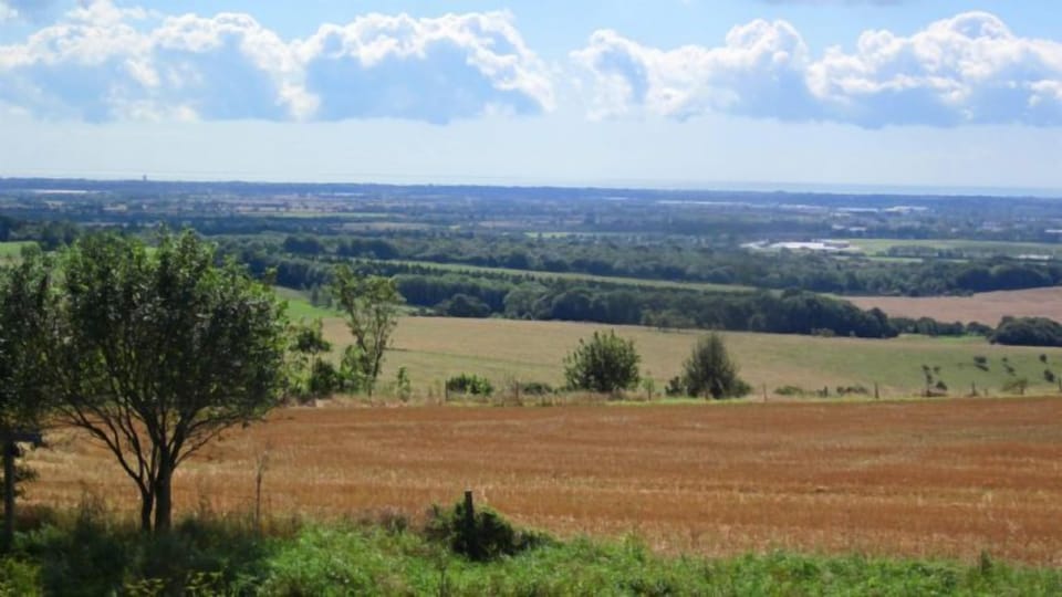 The West Sussex countryside
