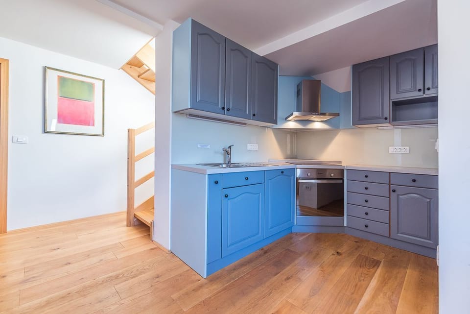 Villa Bohinca - kitchen