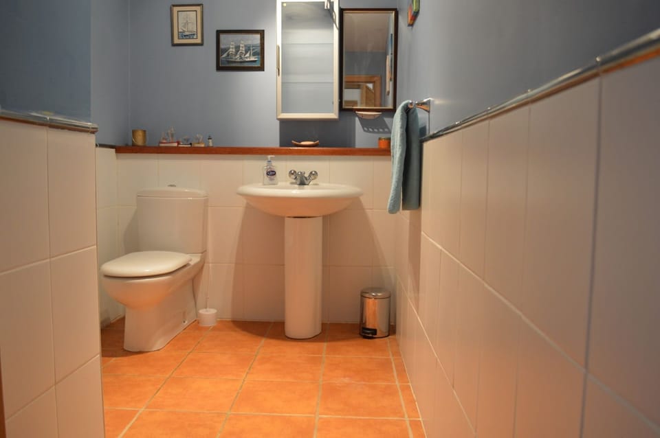 Downstairs toilet