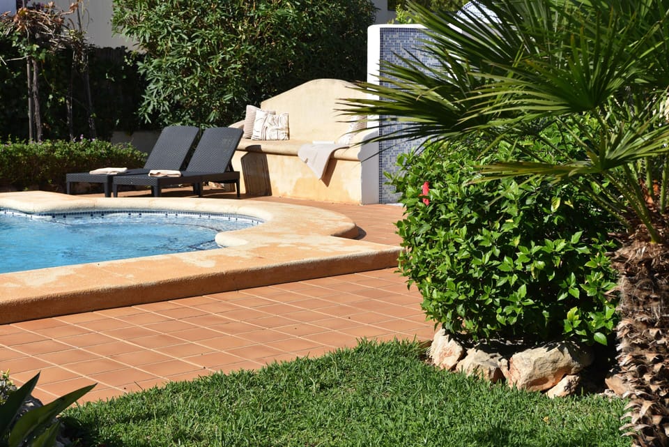 Garden and swimming pool