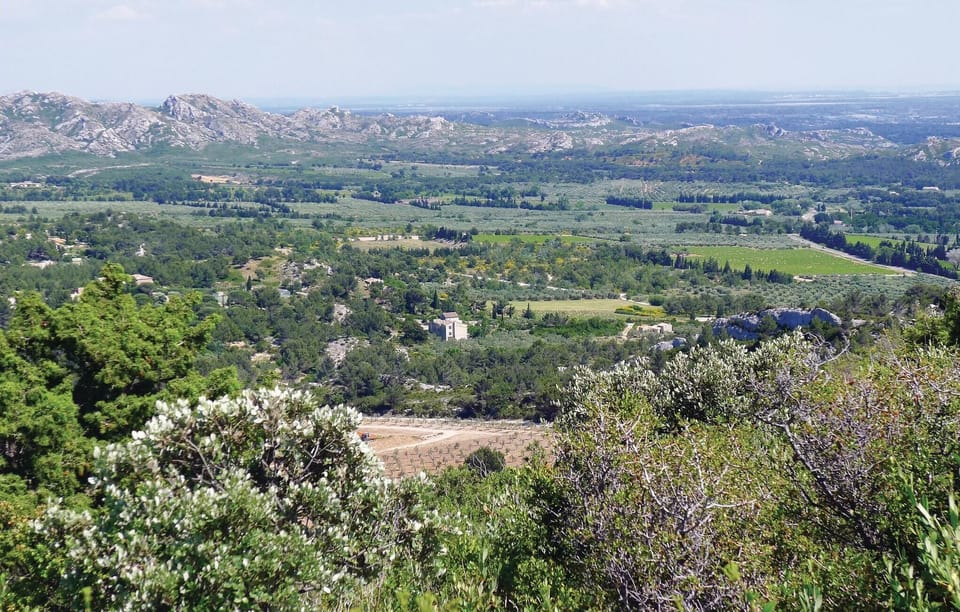 area