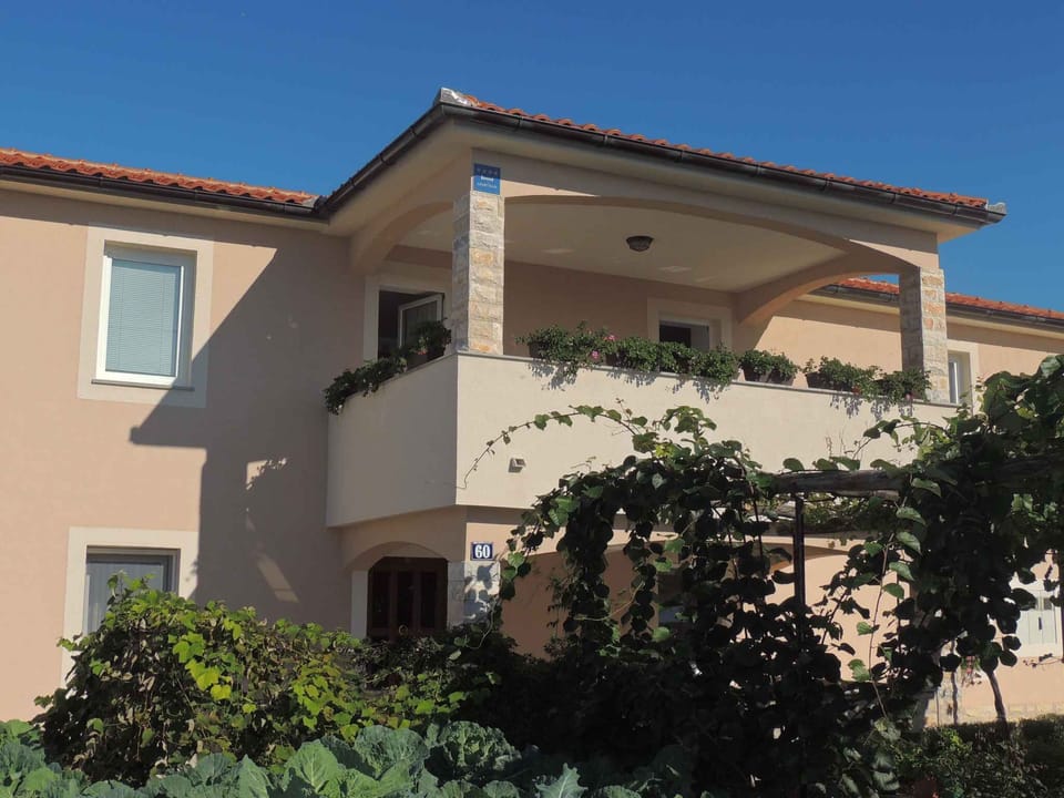 external view