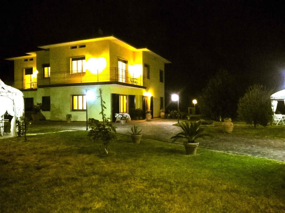 external view