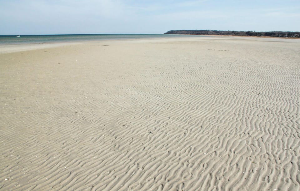 area