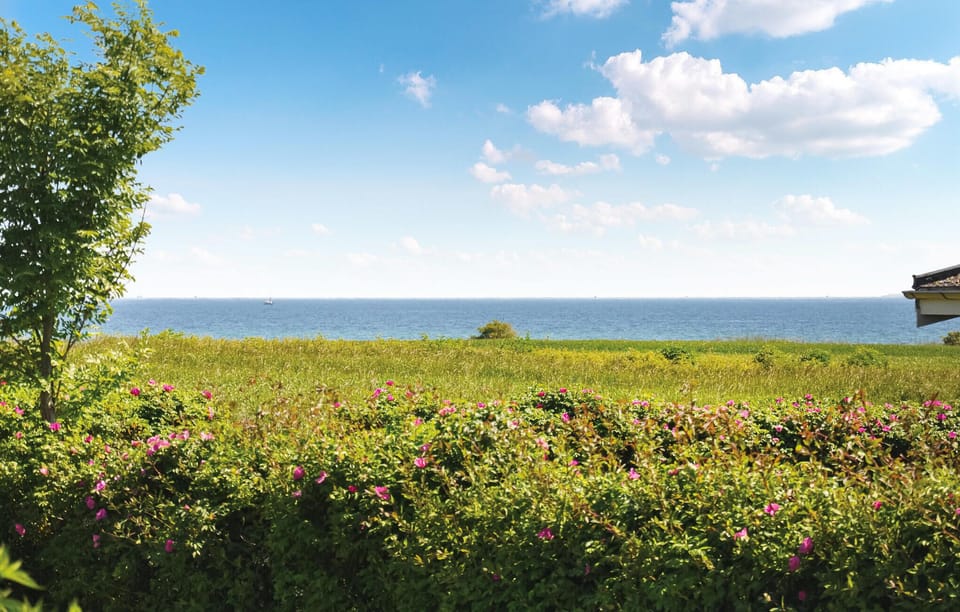 sea-view