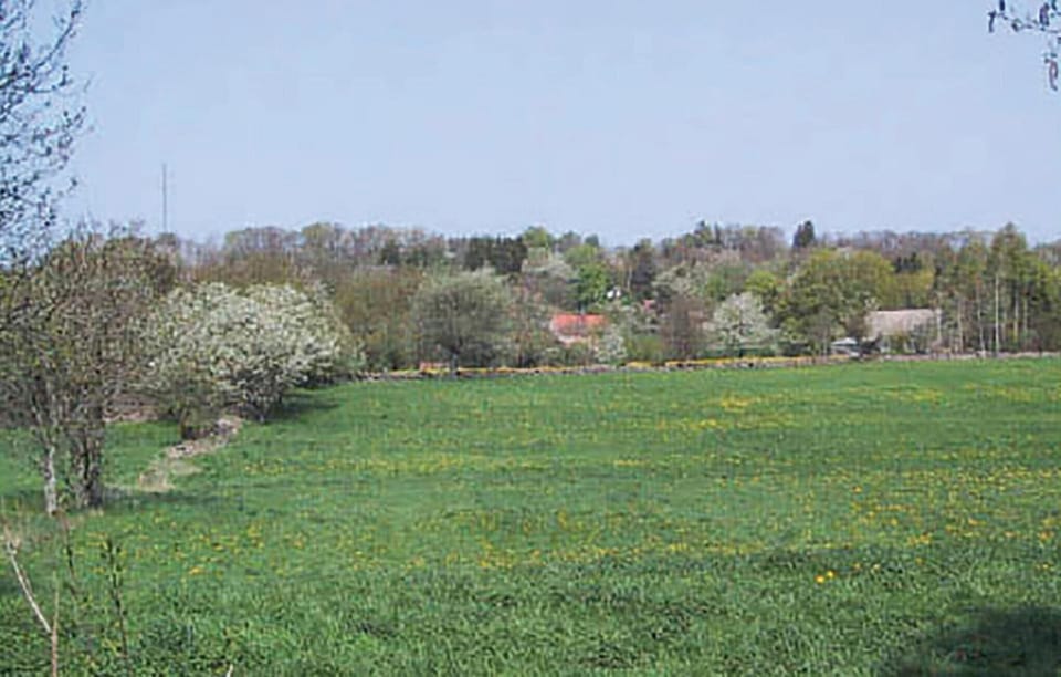 area