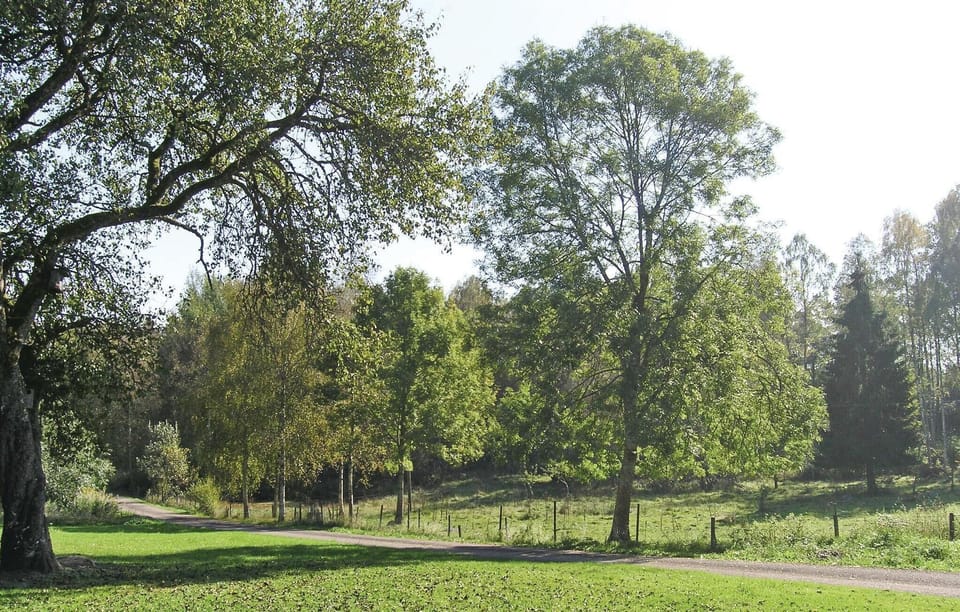 area