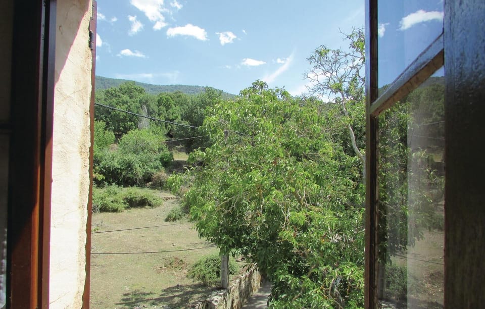 view-from-room