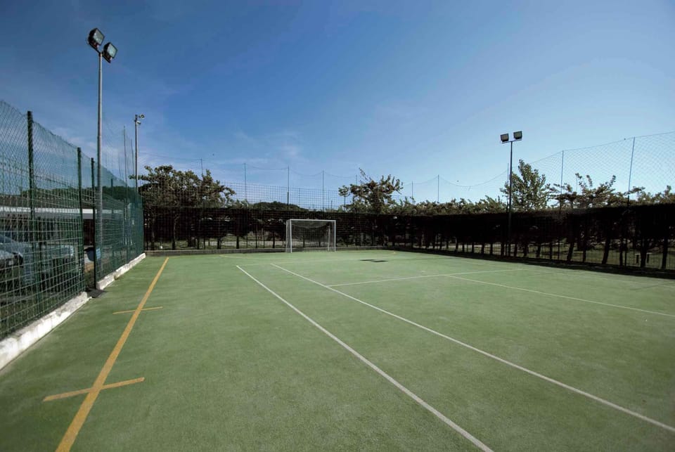 Sport court