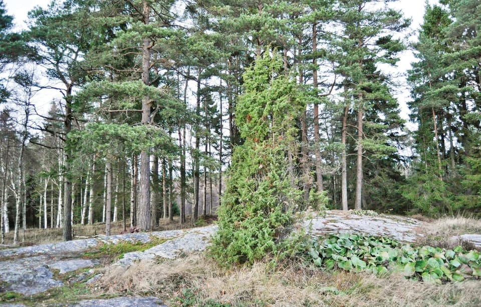 area