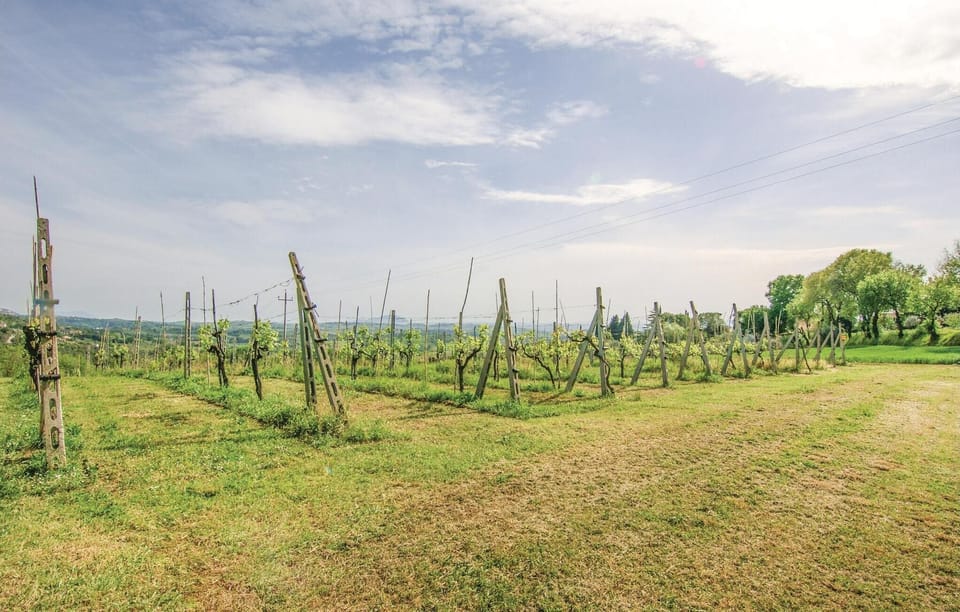 area
