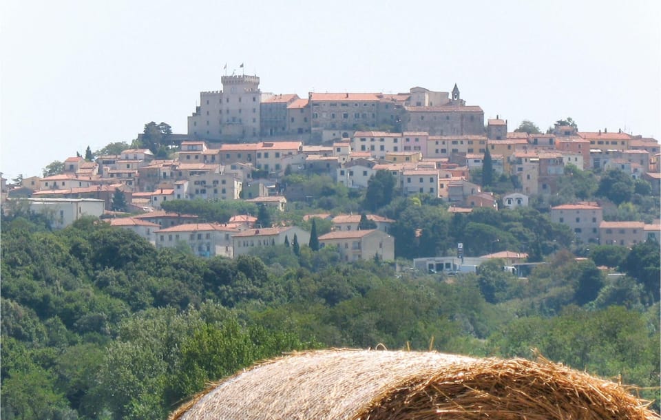 area