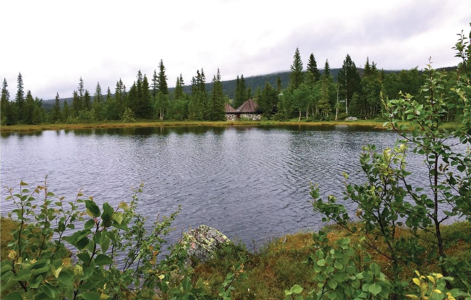 area