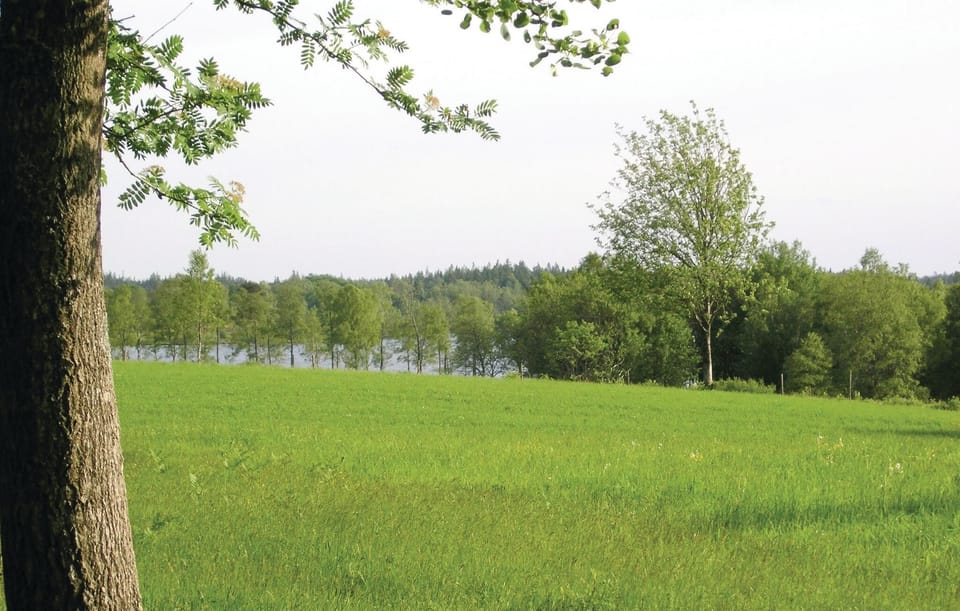 area