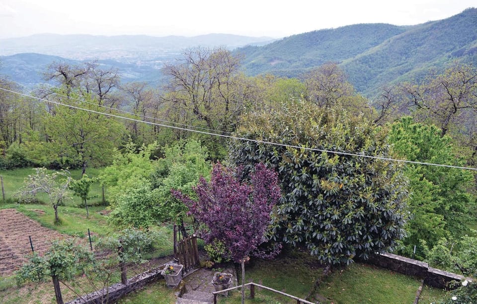 view-from-room