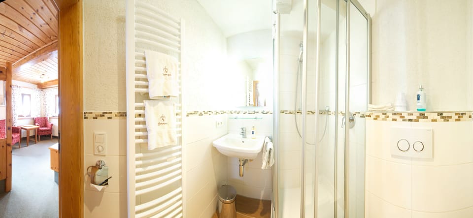 Standard Single Room | Bathroom | Free toiletries, hair dryer, towels