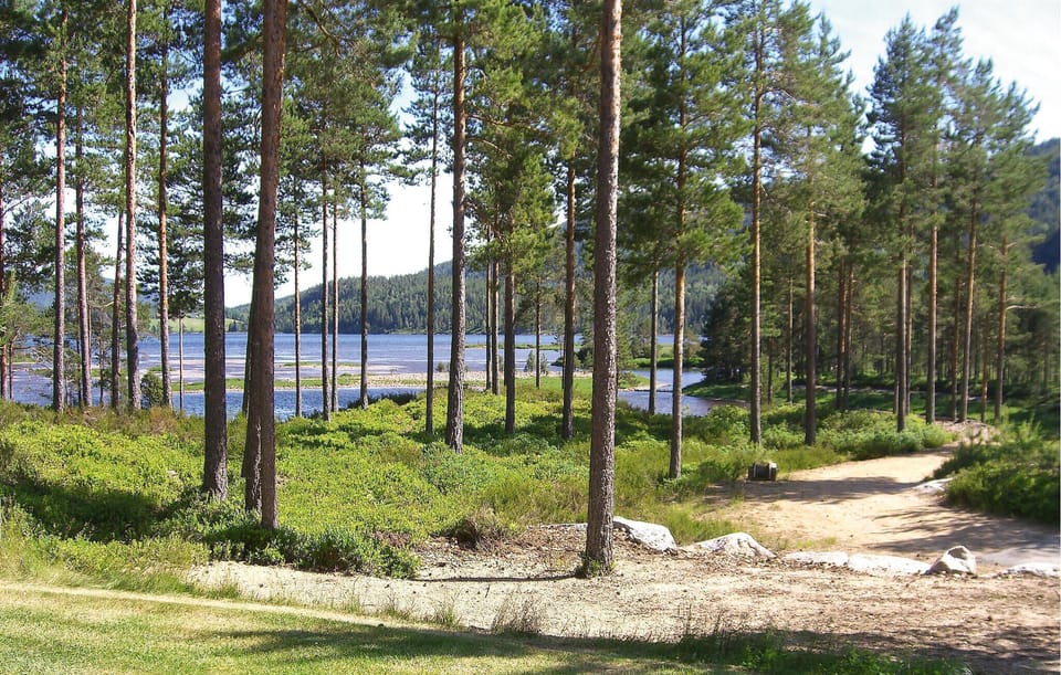 area