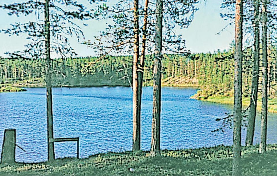 area