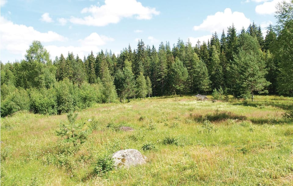 area