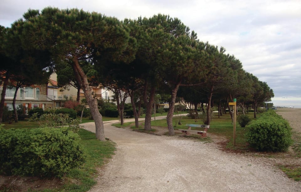area
