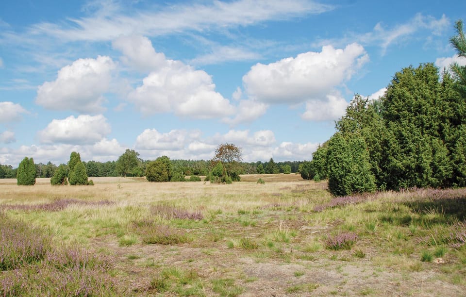 area