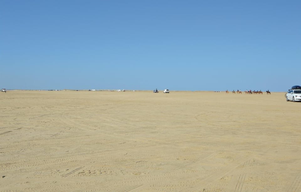 area