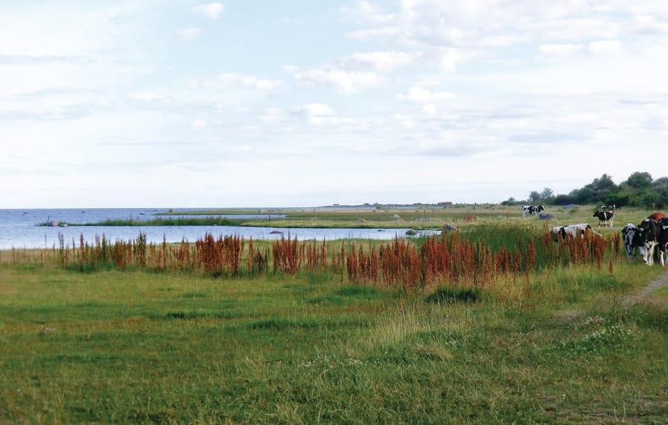 area