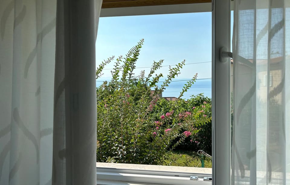 view-from-room