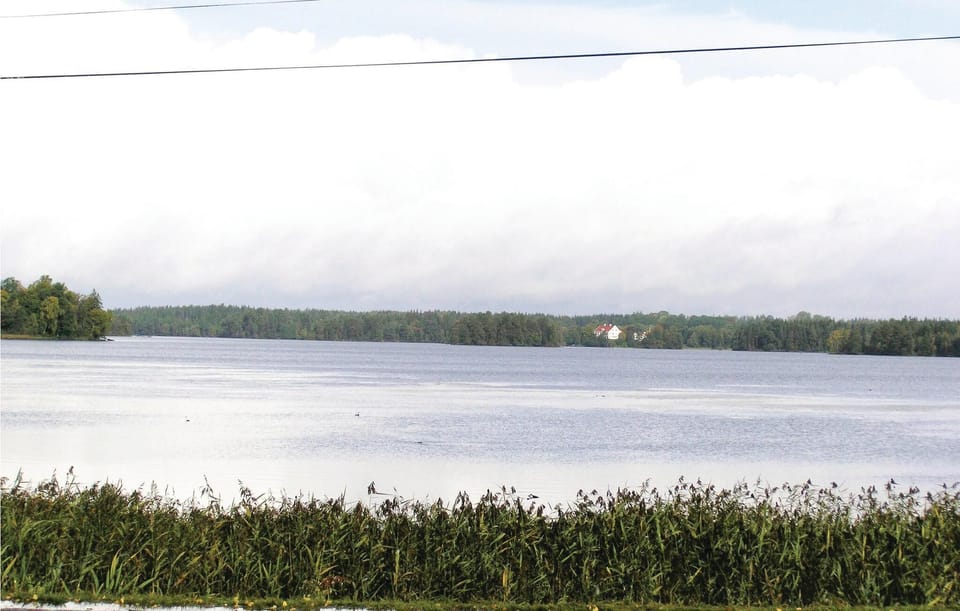 area