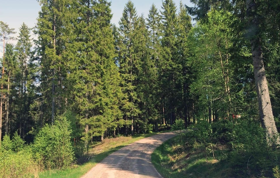 area