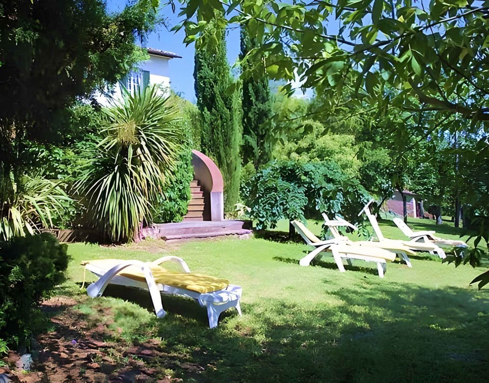 garden