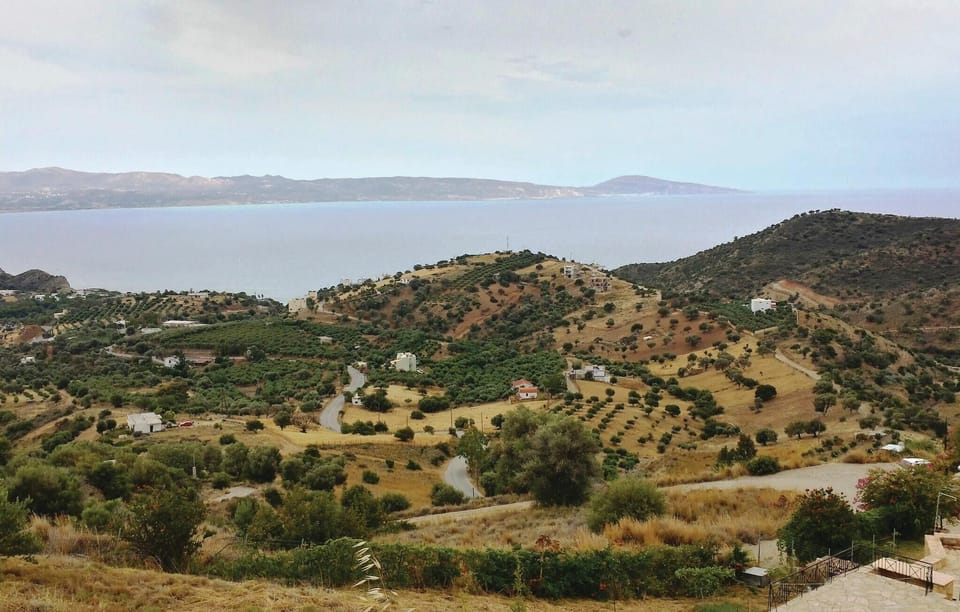 view-from-room