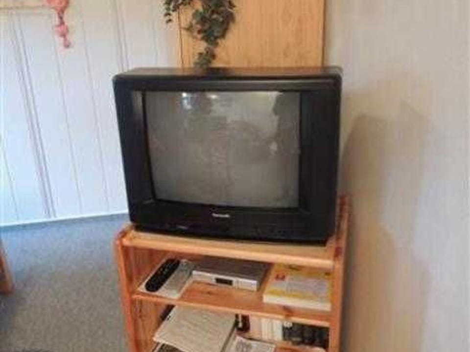 Television