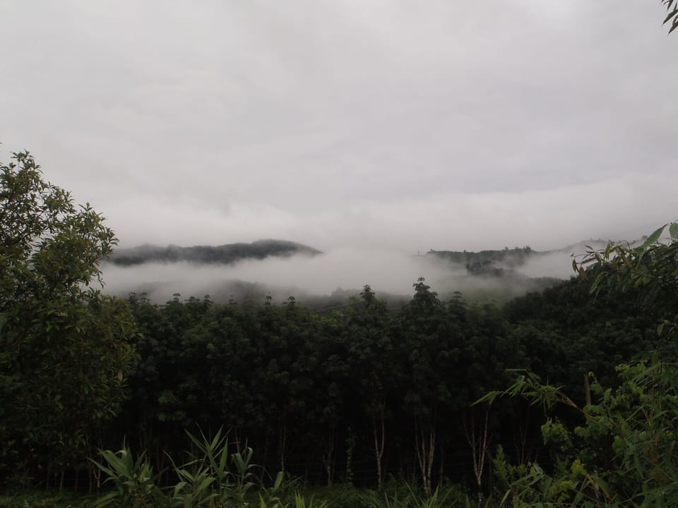 View from property