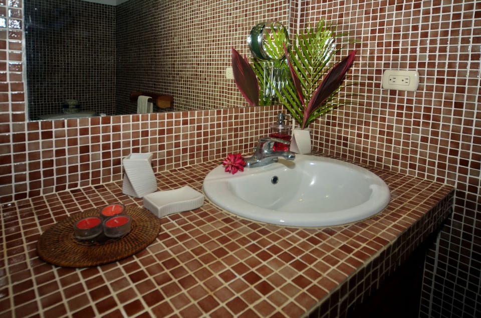 Shower, free toiletries, towels