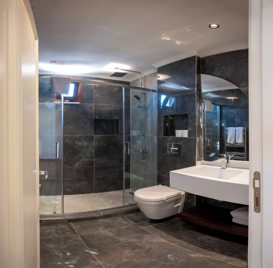 Luxury Room | Bathroom | Shower, rainfall showerhead, free toiletries, hair dryer