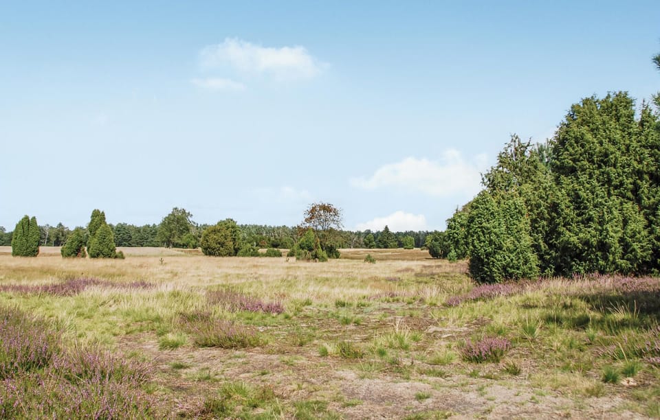 area