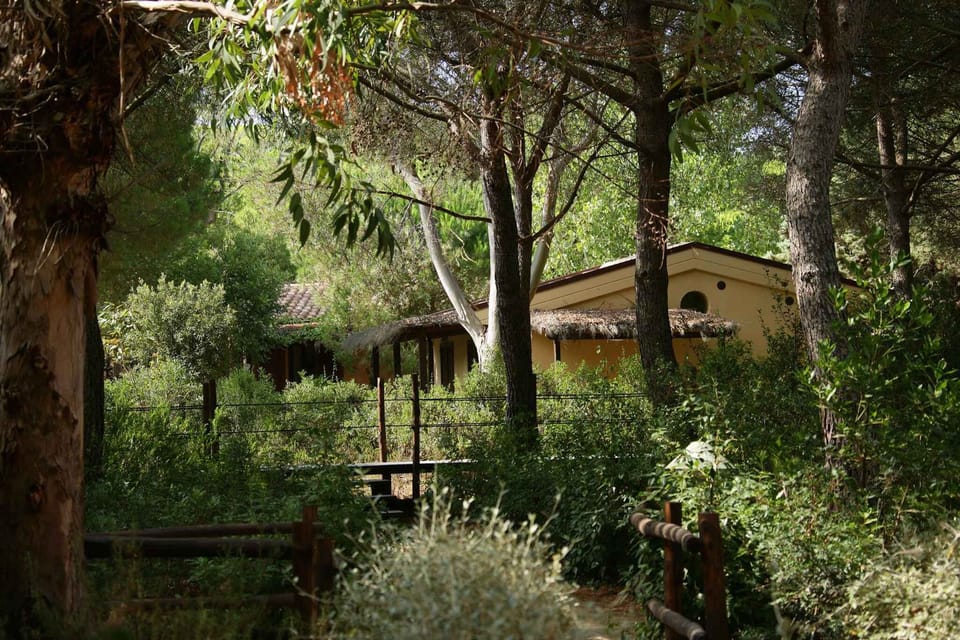 external view