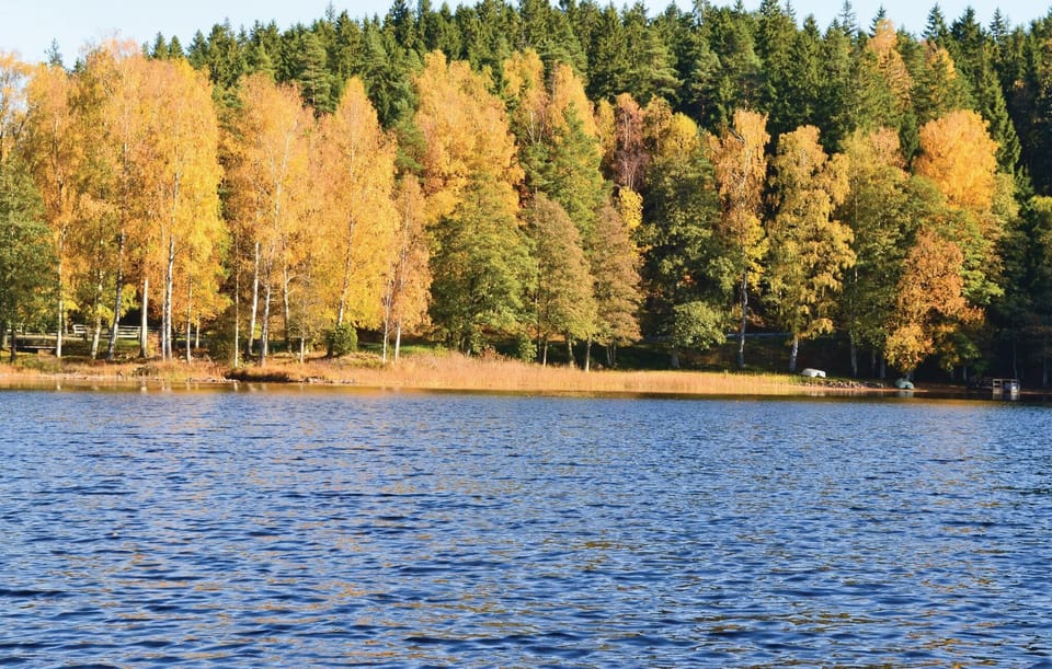 area