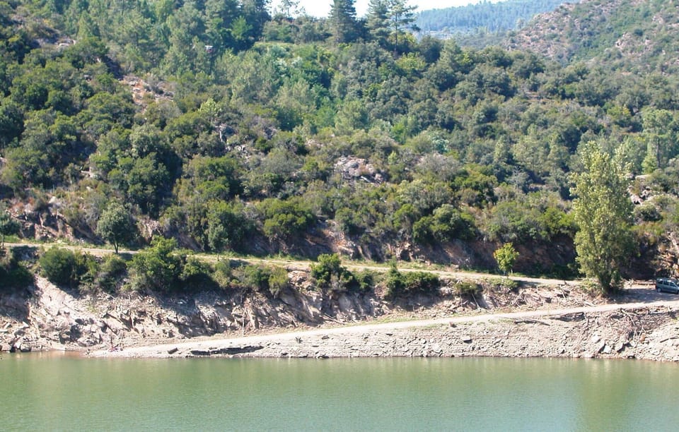 area