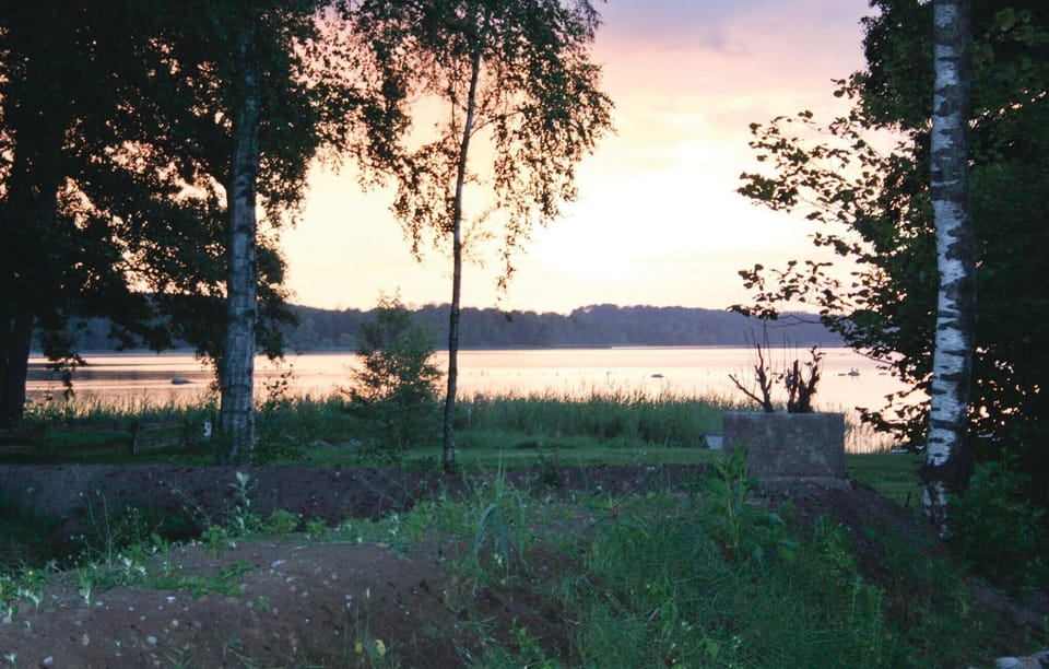 area