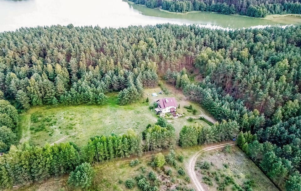 area