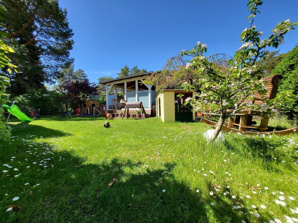 Children's area