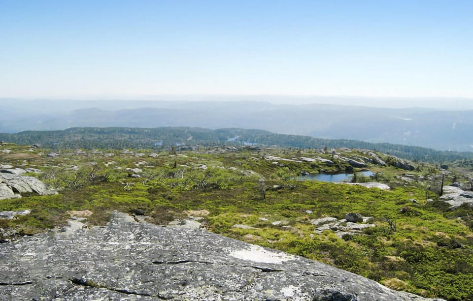 area