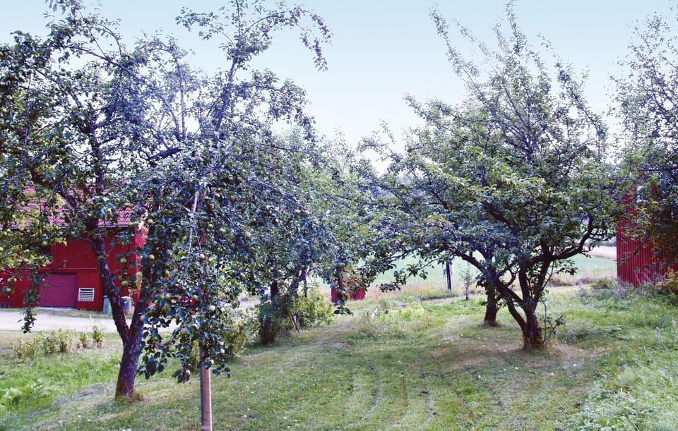 area